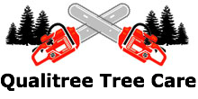 Qualitree Tree Care in Arvada, CO