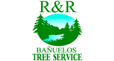 R & R Banuelos Tree Service in Pomona, CA