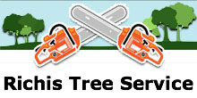 Richis Tree Service in Denver, CO