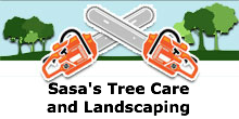 Sasas Tree Care and Landscaping in West Roxbury, MA