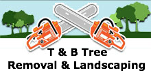 T & B Tree Removal & Landscaping in Tariffville, CT