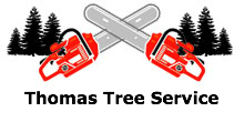 Thomas Tree Service in Arvada, CO